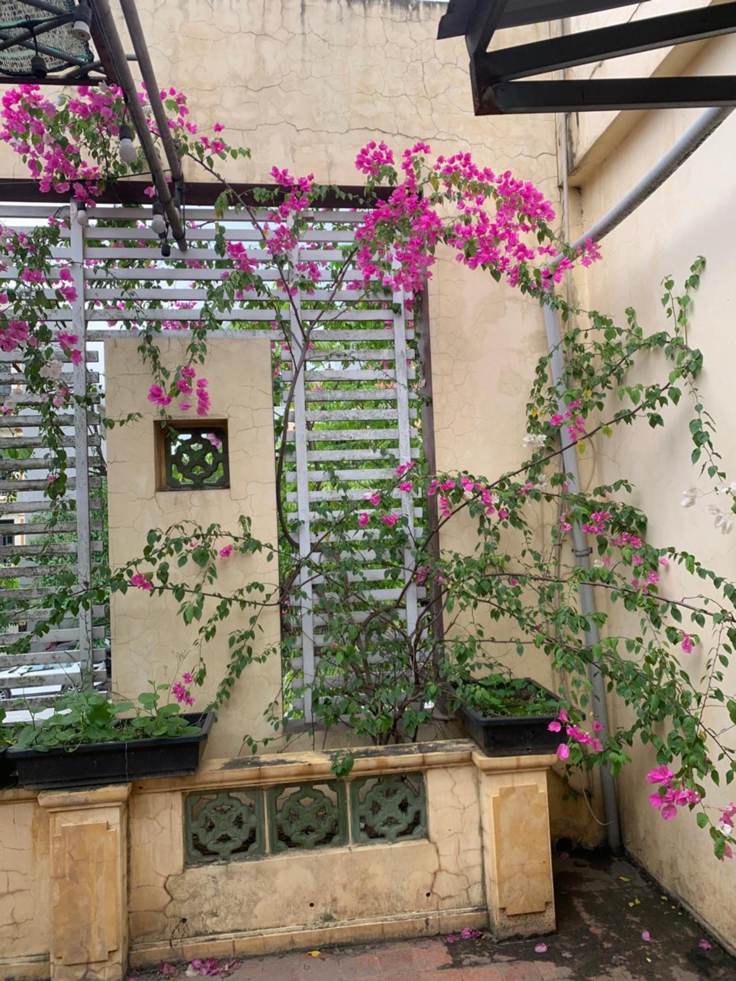 Seoul House Aparthotel Ninh Bình Ngoại thất bức ảnh